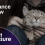 CAT_SAPR_Pet-Assure-Mint-Wellness-Insurnace-Review-Ft-Img-800x436.png